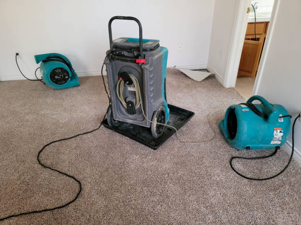 Reliable MS Water damage restoration Solutions