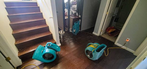 Best Water damage restoration near me  in Picayune, MS