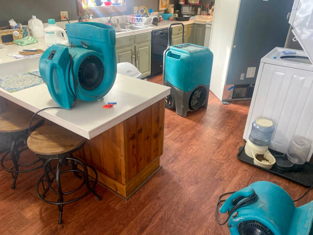 Best Sewage cleanup and water damage restoration  in Picayune, MS