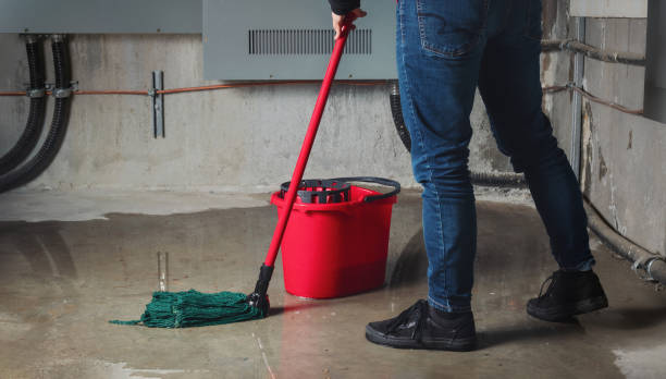 Best Mold removal after water damage  in Picayune, MS