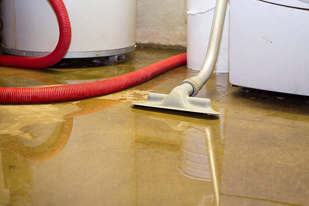 Best Flood restoration services  in Picayune, MS