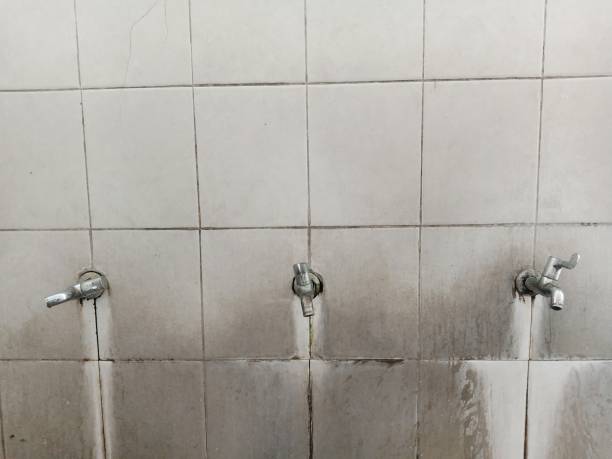 Best 24/7 water damage repair  in Picayune, MS
