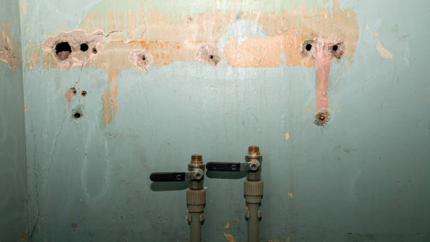 Reliable MS Water damage restoration Solutions