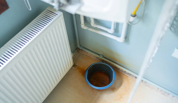 Best Ceiling water damage repair  in Picayune, MS